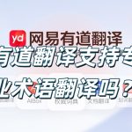 有道翻译支持专业术语翻译吗？